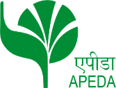 APEDA logo